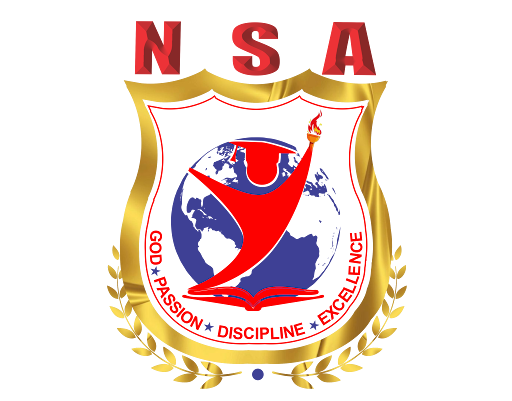Logo de la New System Academy